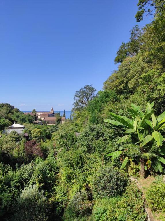 Guest House Chalet Agave Gagra Exterior photo